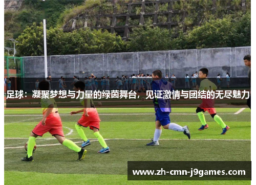 足球：凝聚梦想与力量的绿茵舞台，见证激情与团结的无尽魅力