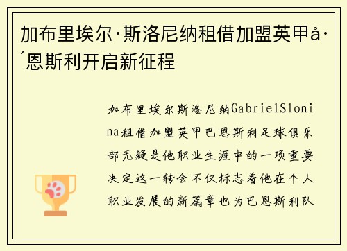 加布里埃尔·斯洛尼纳租借加盟英甲巴恩斯利开启新征程